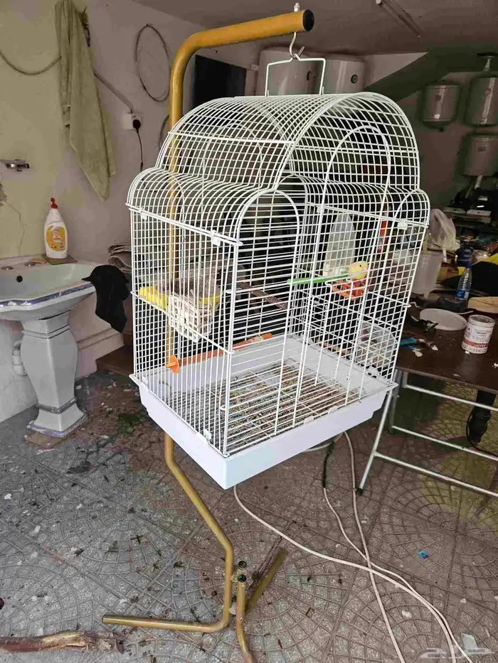 قفص باستاند للبيع 0