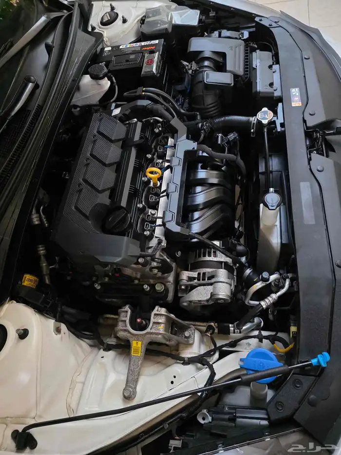 النترا موديلها 2023 بدي وكالة الأحساء بطاقة جمركية 38