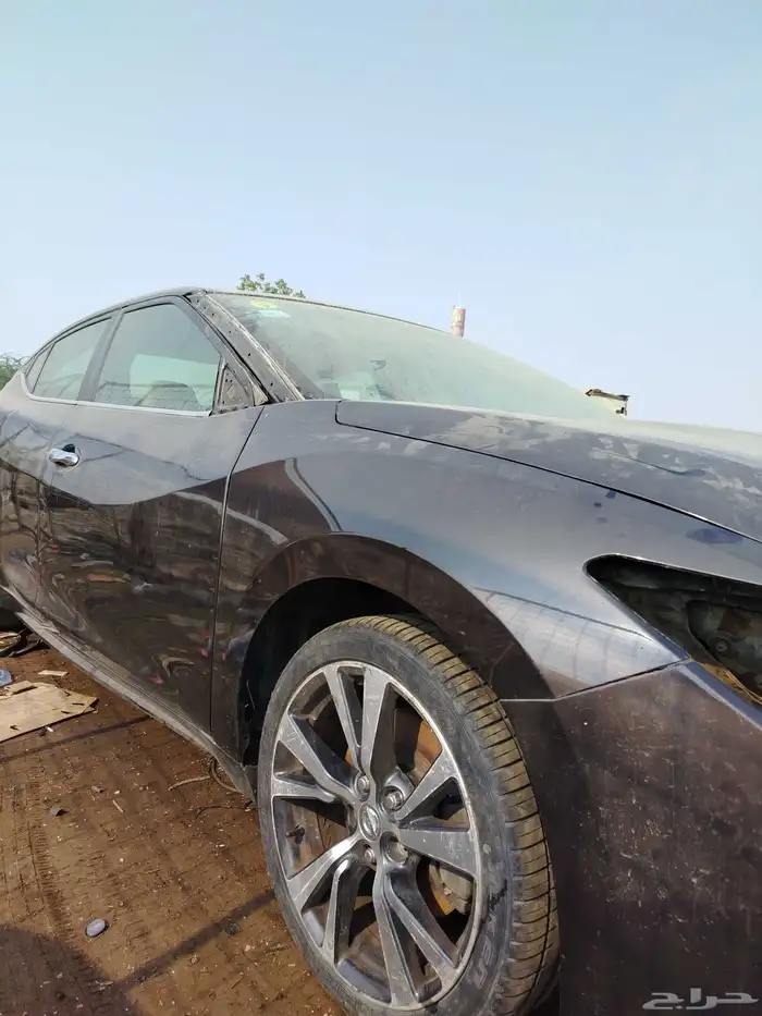 نيسان مكسيما 2016 3