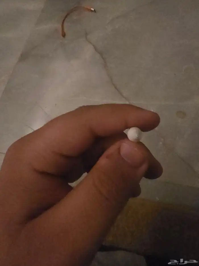 لللبيع قلام أبل. qencil. Apple. 3