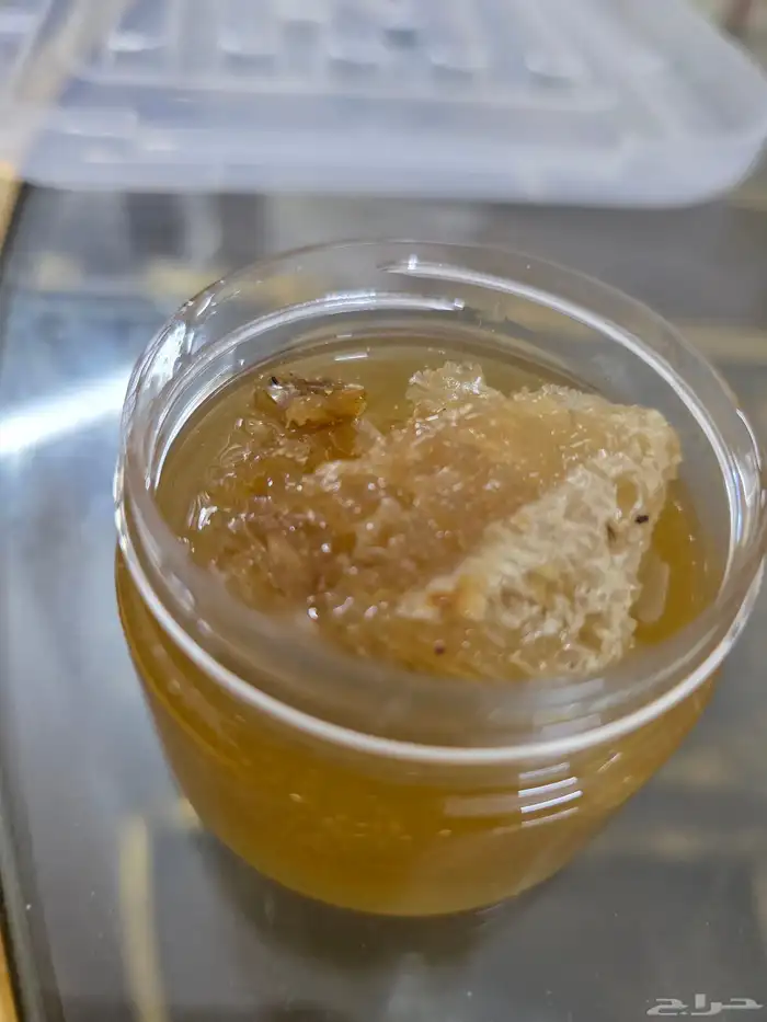 عسل سدر حر بري 8