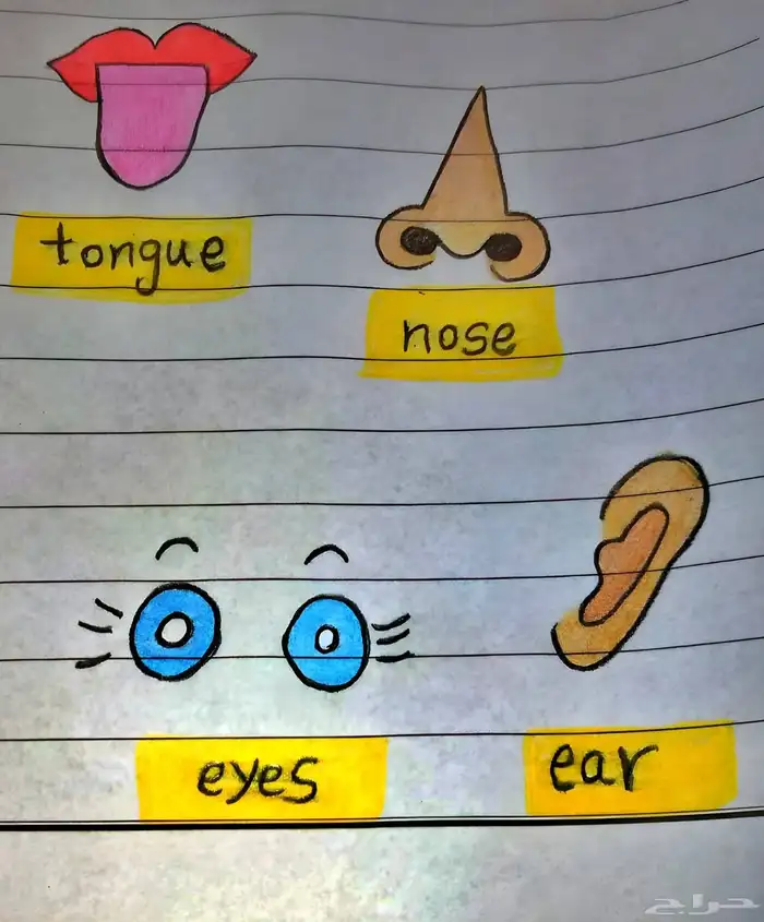 تأسيس اطفال من مسكه القلم للكتابه لمستوى افضل بإذن الله 9