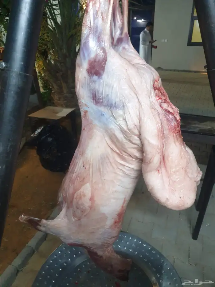 مشويات معلم مشاوي شوي خارجي دوار السعادة 9