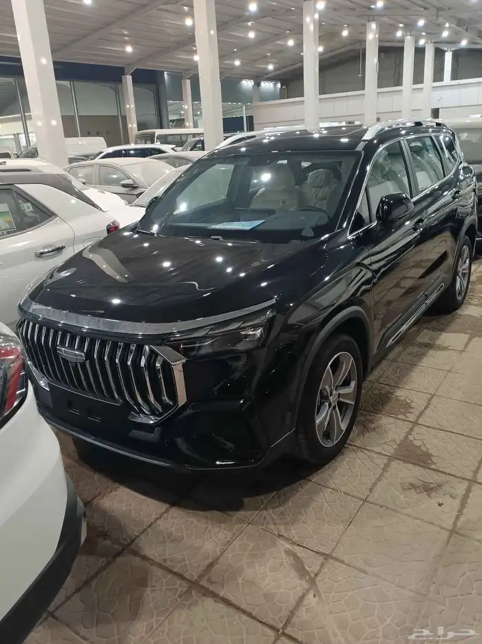 جيلي اوكافانجو 2025 1