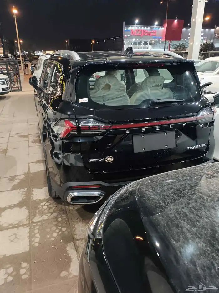 جيلي اوكافانجو 2025 4