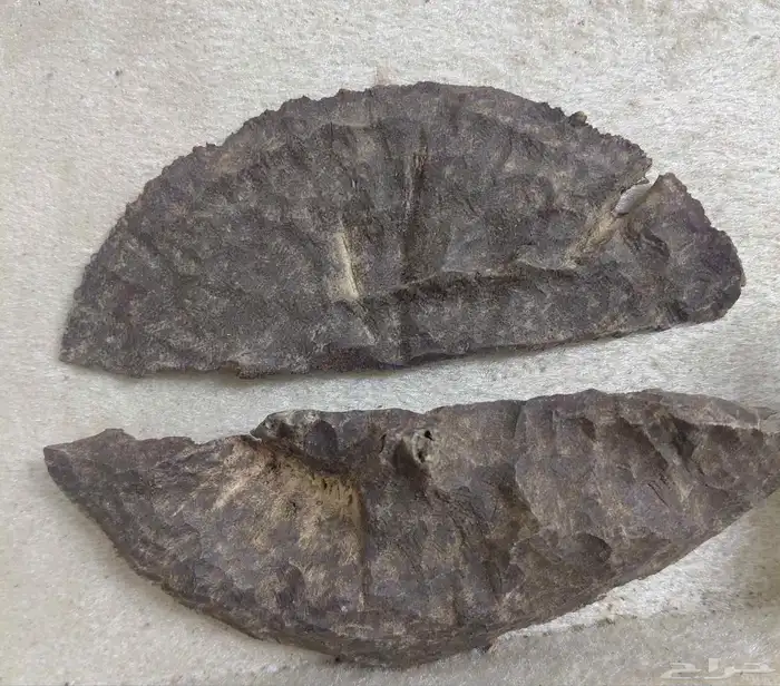 عود هندي طبيعي تربل عالي فآخر 1