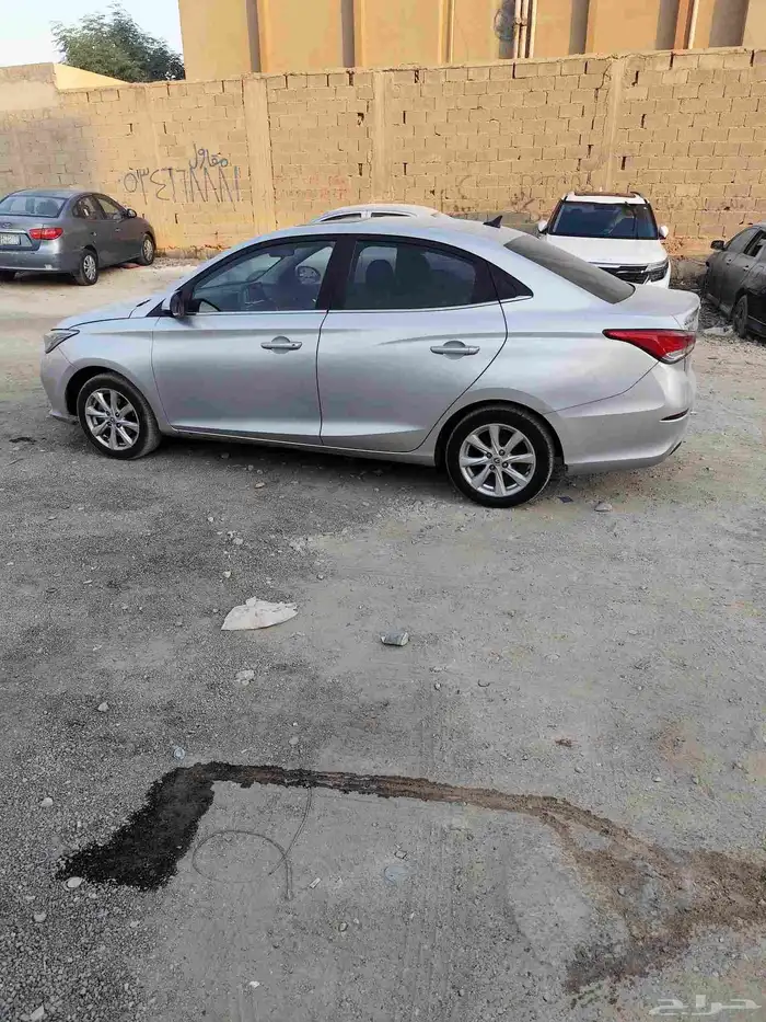 شانجان السفن 2021 6