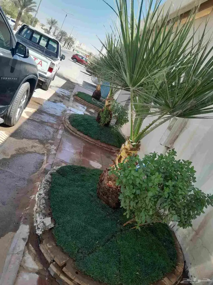 مشتل تنسيق حدائق 5