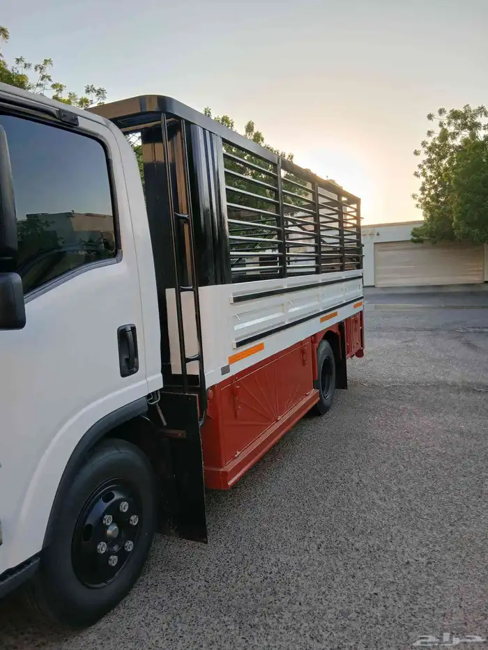 للنقل داخل ينبع وخارجها 0