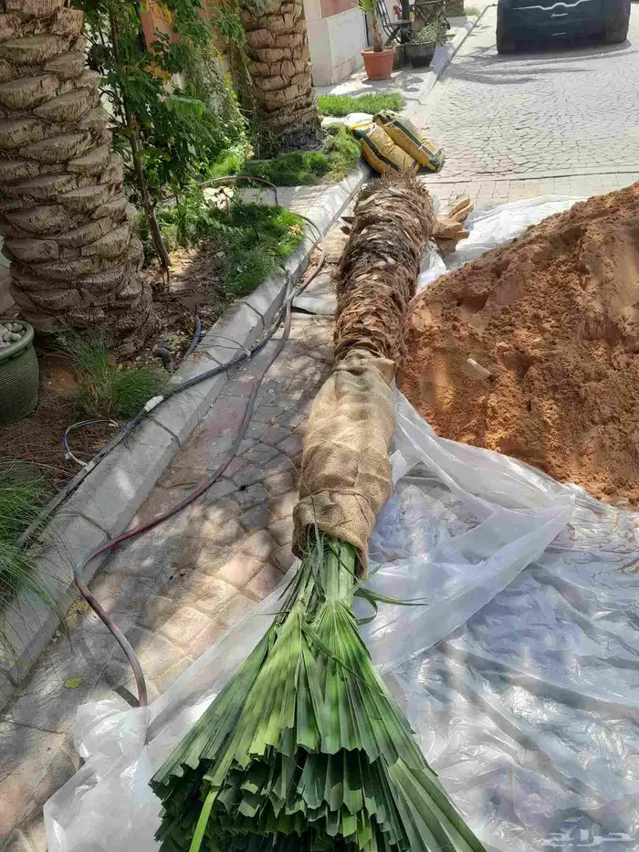 مشتل تنسيق حدائق 7