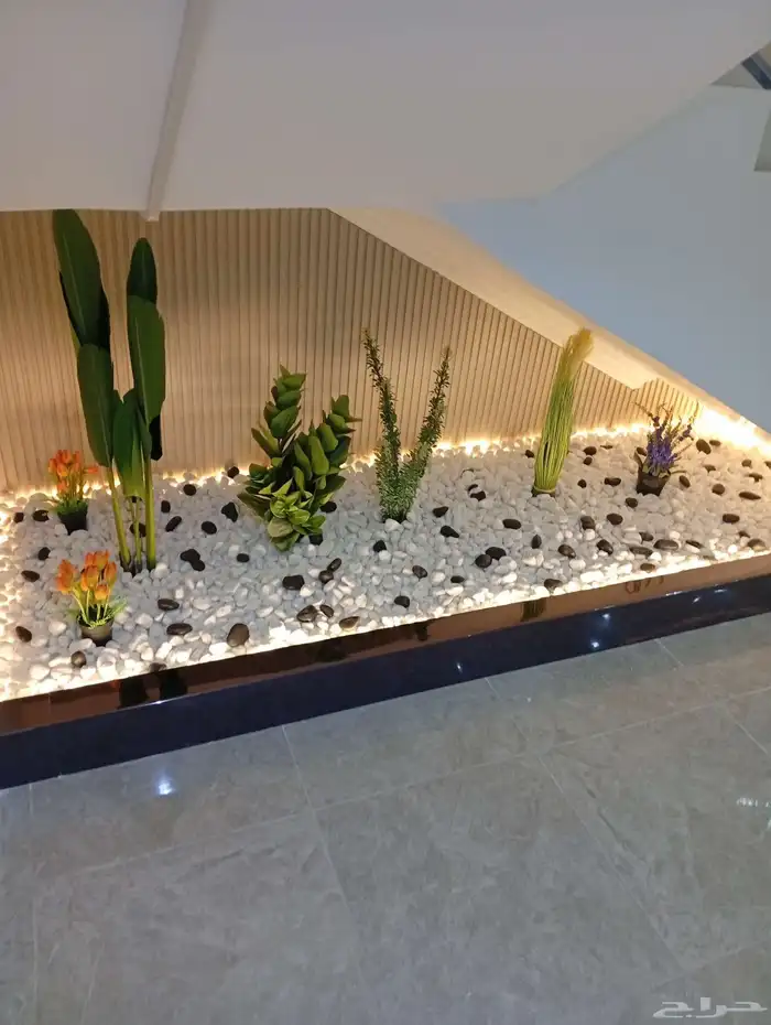 مع جبس دهانات اسقف صالات السعوديه جازان جبس_مبورد اصباغ جبس_ 1