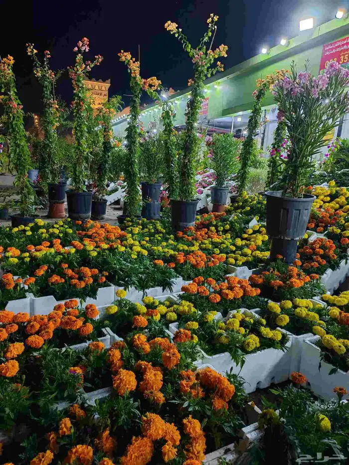 مشتل زراعية طبيعي 1