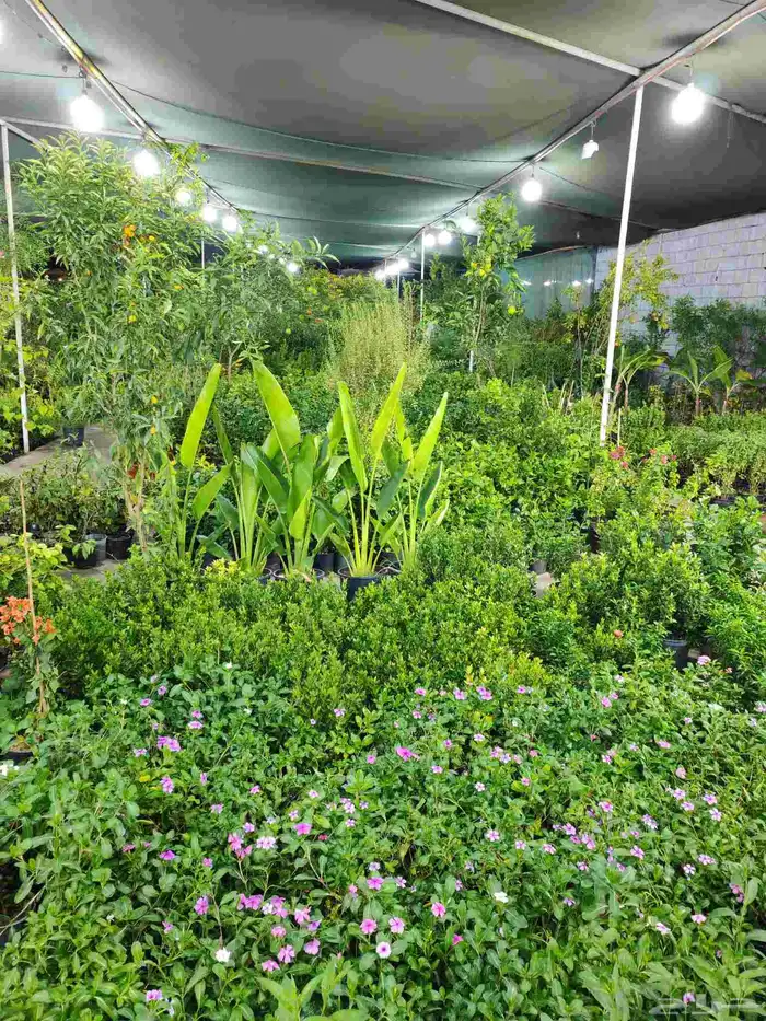 مشتل زراعية طبيعي 2