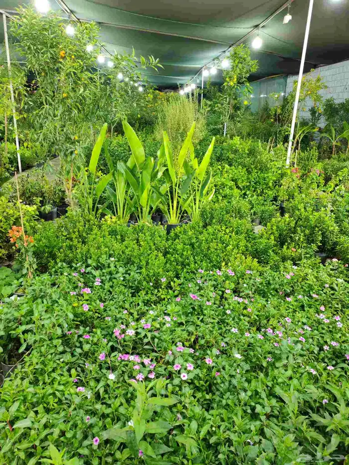 مشتل زراعية طبيعي 4