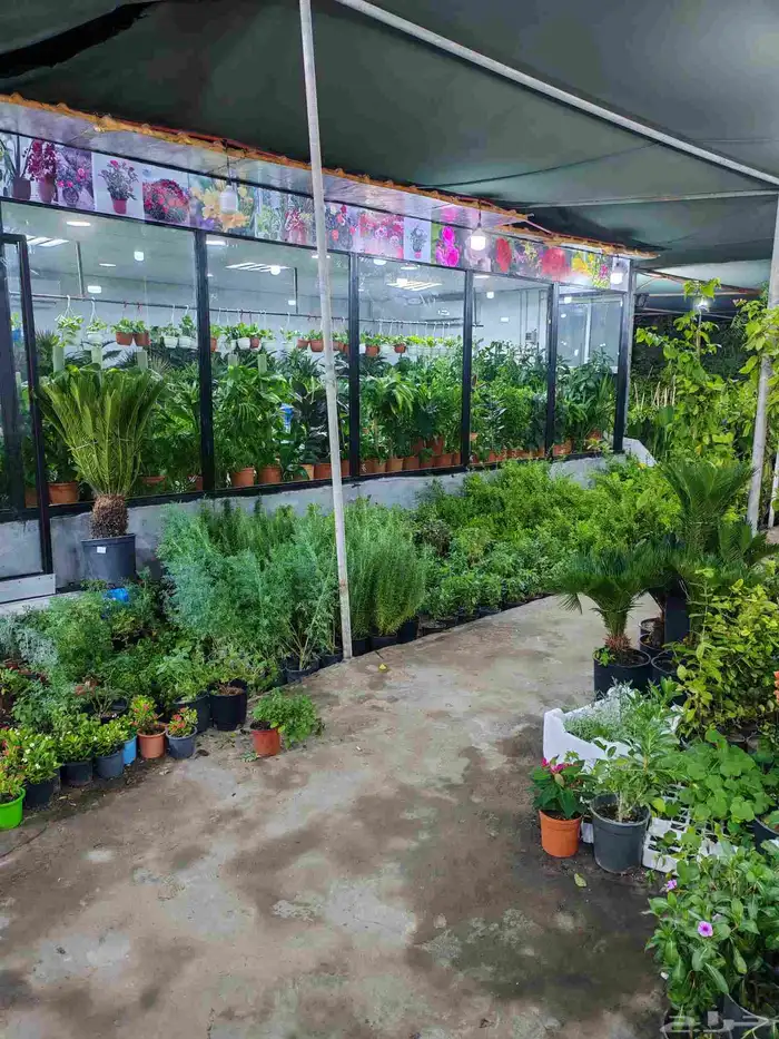 مشتل زراعية طبيعي 6