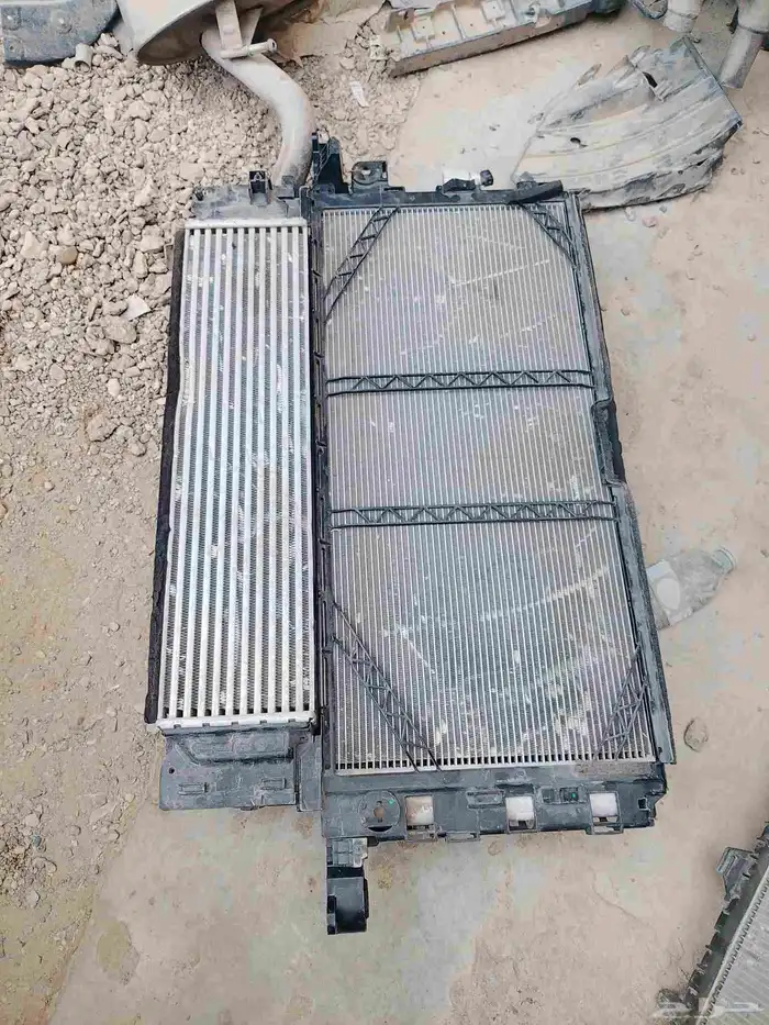 شده اديترات جلي توجيلا 23 24 1