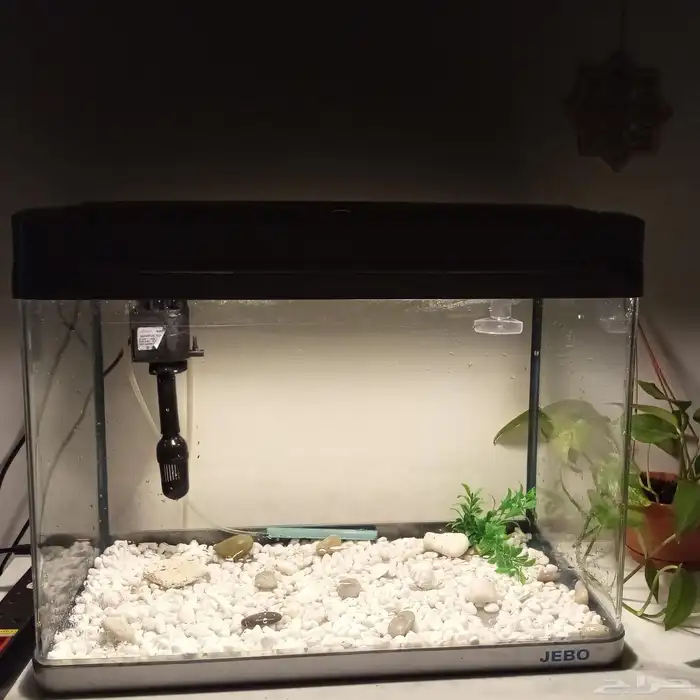 حوض سمك للبيع 1