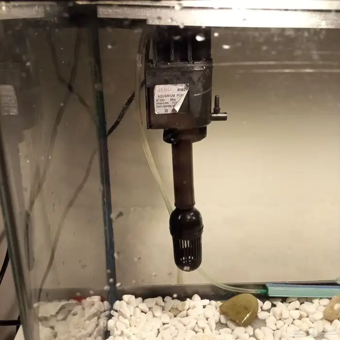 حوض سمك للبيع 2