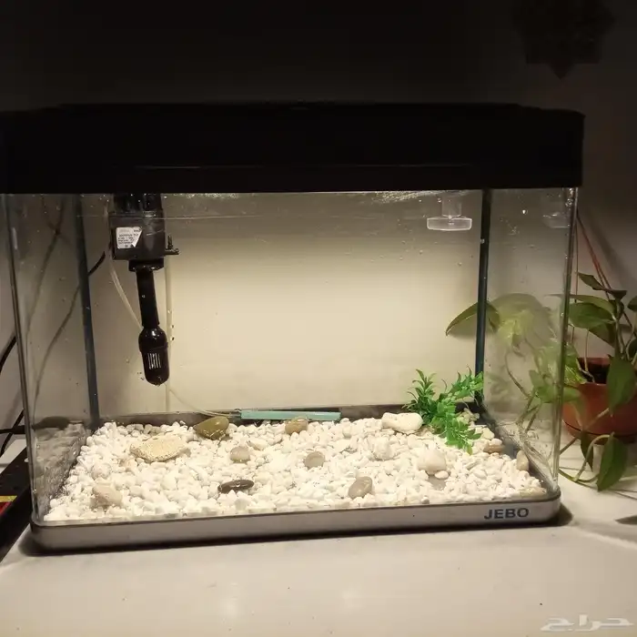 حوض سمك للبيع 0