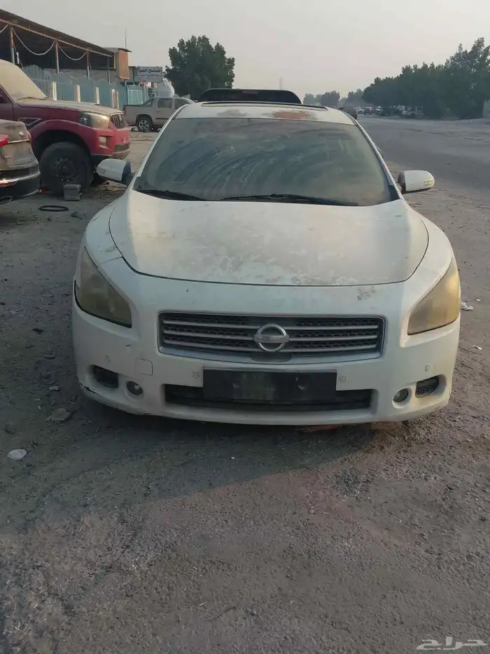 مكسيما موديل 2010 0