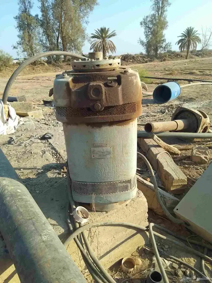 السلام عليكم ورحمة الله وبركاتة عندي راس كهرب 100حصان للبيع 2