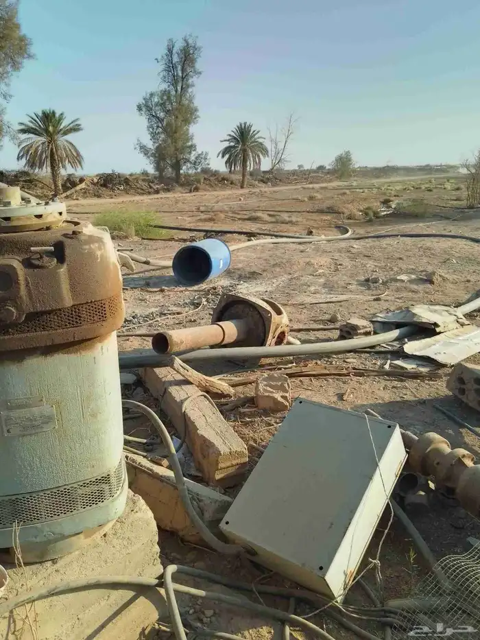 السلام عليكم ورحمة الله وبركاتة عندي راس كهرب 100حصان للبيع 1