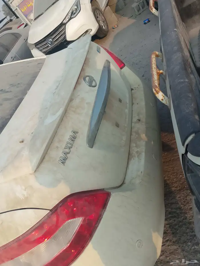 مكسيما موديل 2010 2