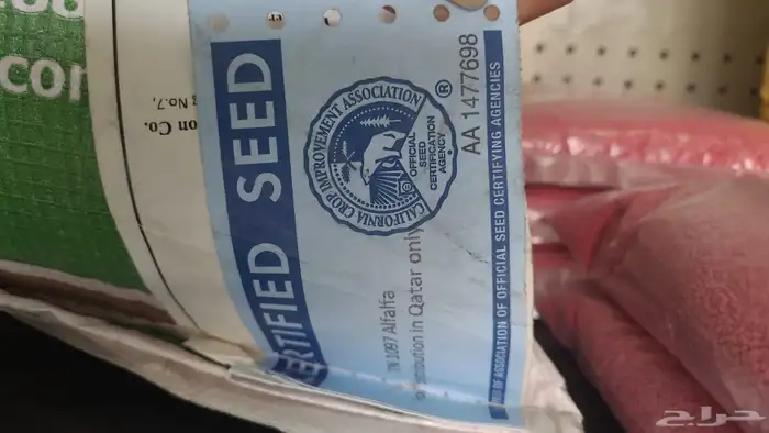 بذور برسيم 101 1