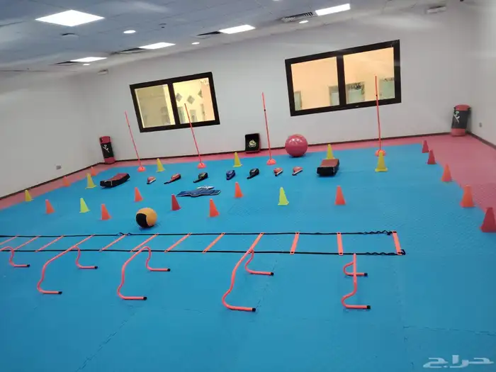 ارضيات سفنج مطاط للروضات والاطفال بالون متنوعه 16