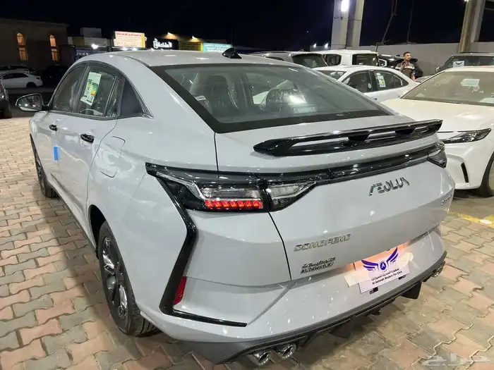 دونج فينج شاين 2026 ( كاش - تقسيط ) 6