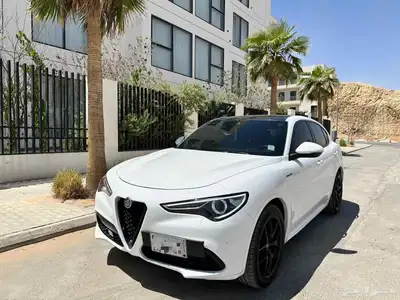 الفا روميو ستلفيو   35000km index