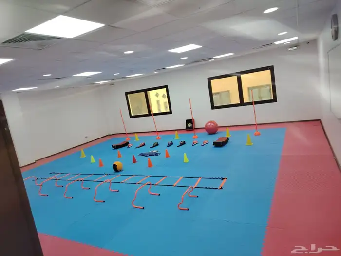 ارضيات سفنج مطاط للروضات والاطفال بالون متنوعه 15