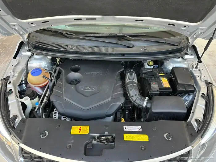 شيري اريزو 21