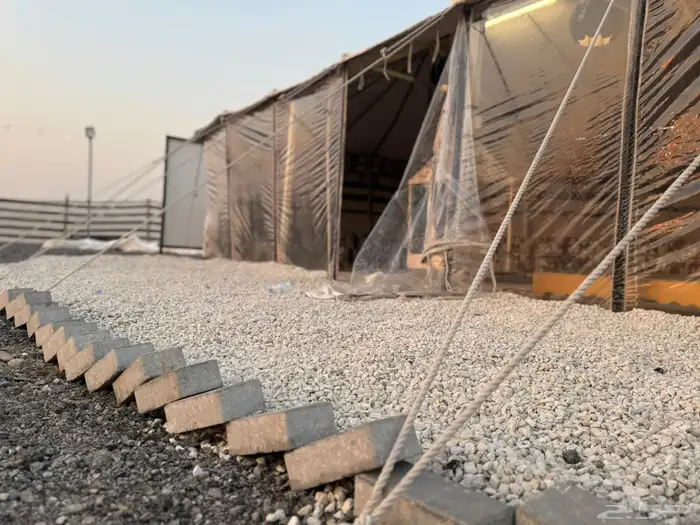 مخيم ملهم البري للايجار 7