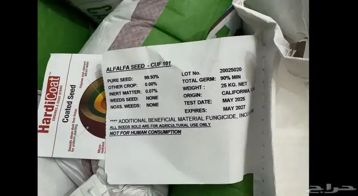 برسيم امريكي للبيع 2