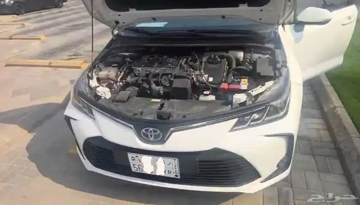 كوريلا هايبرد 2023 3