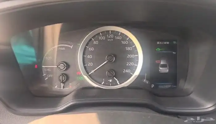 كوريلا هايبرد 2023 4