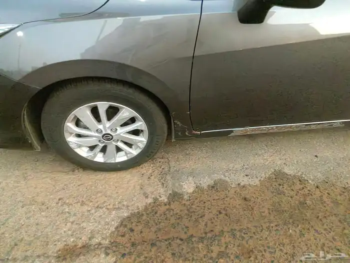 نبسان صني 2024 14