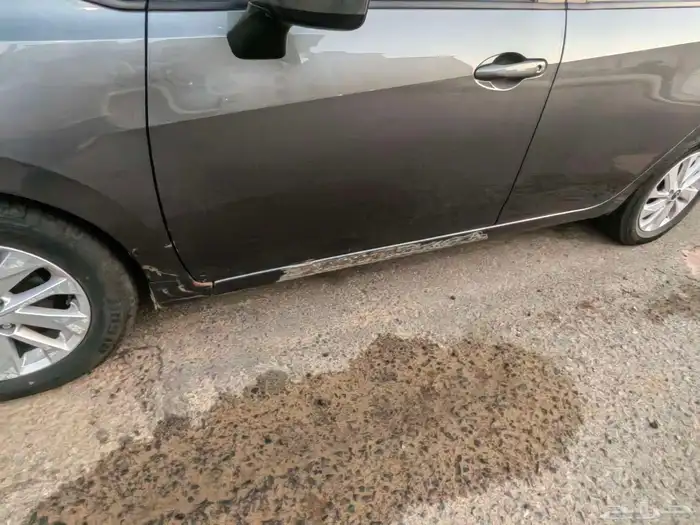 نبسان صني 2024 13