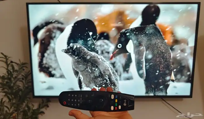 شاشة LG ريموت ماجيك ماوس 4K 55 صوت قوي جدا 0