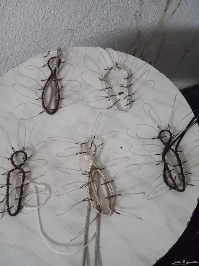 شبك لصيد الصقور 0