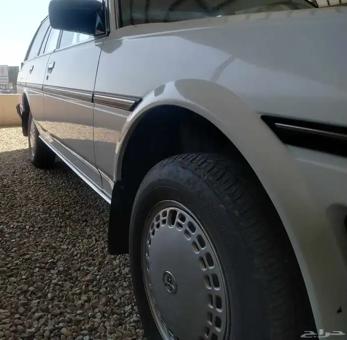 اذكروا الله وصلوا على النبي للبيع كرسيدا 88 بقس شبه وكاله 22