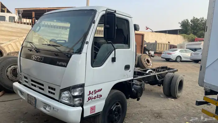 دينا اسيزو 2008 0