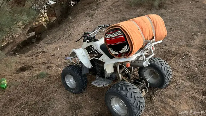 دباب نثال اخو جديد 2