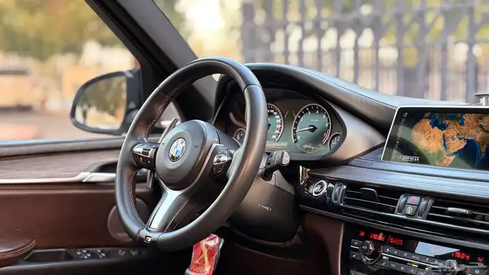 بي ام دبليو X5 2014 ( منوة المستخدم ) 59