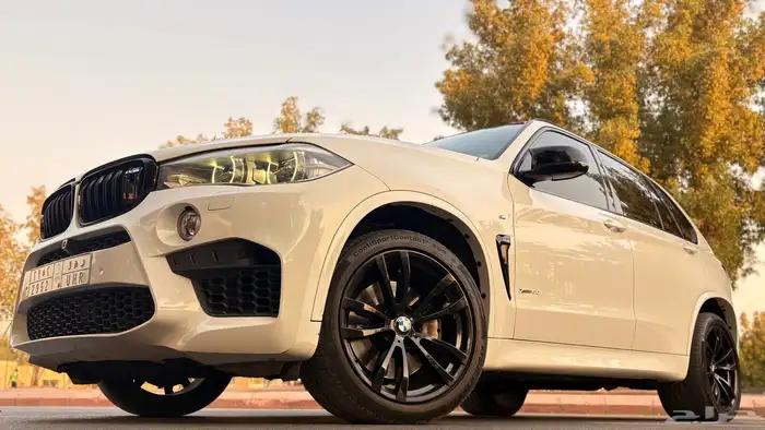 بي ام دبليو X5 2014 ( منوة المستخدم ) 4