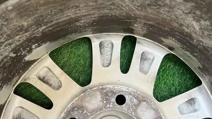 جنوط صالون 3