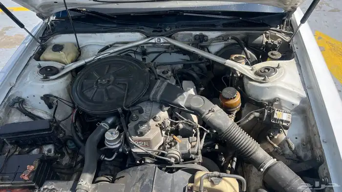 كرسيدا نضيف 9