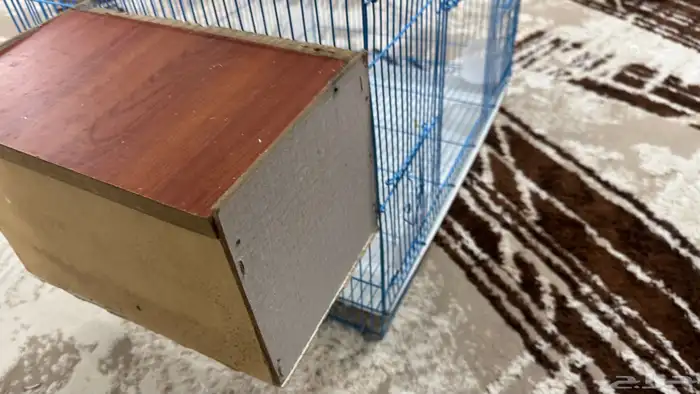 للبيع قفص كبيير مع بياضه 10