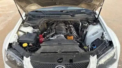 لومينا 2009 اوتو index